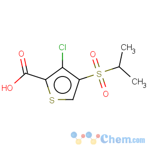 CAS No:175202-26-3 3-chloro-4-(isopropylsulfonyl)thiophene-2-carboxylic acid