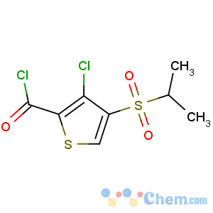 CAS No:175202-28-5 3-chloro-4-propan-2-ylsulfonylthiophene-2-carbonyl chloride