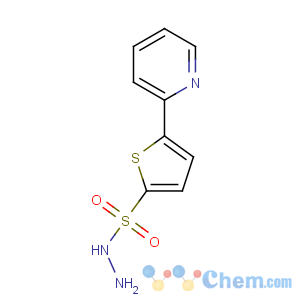 CAS No:175202-74-1 5-pyridin-2-ylthiophene-2-sulfonohydrazide