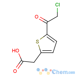 CAS No:175203-15-3 2-[5-(2-chloroacetyl)thiophen-2-yl]acetic acid