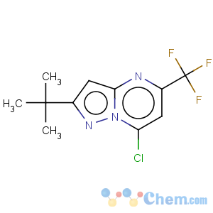 CAS No:175203-38-0 2-tert-Butyl-7-chloro-5-(trifluoromethyl)pyrazolo[1,5-a]pyrimidine