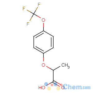 CAS No:175204-35-0 2-[4-(trifluoromethoxy)phenoxy]propanoic acid