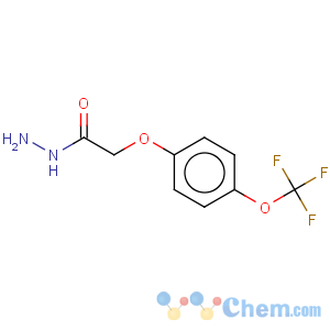 CAS No:175204-36-1 Acetic acid,2-[4-(trifluoromethoxy)phenoxy]-, hydrazide
