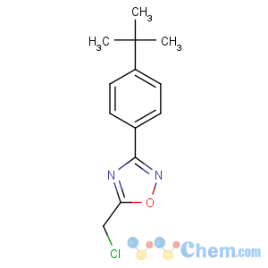 CAS No:175204-40-7 3-(4-tert-butylphenyl)-5-(chloromethyl)-1,2,4-oxadiazole