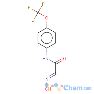 CAS No:175205-25-1 Acetamide,2-(hydroxyimino)-N-[4-(trifluoromethoxy)phenyl]-