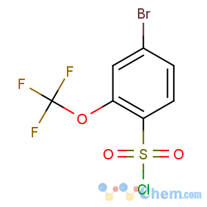 CAS No:175278-14-5 4-bromo-2-(trifluoromethoxy)benzenesulfonyl chloride
