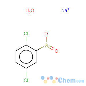 CAS No:175278-63-4 Benzenesulfinic acid,2,5-dichloro-, sodium salt, hydrate (1:1:1)
