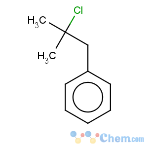 CAS No:1754-74-1 (2-Chloro-2-methyl-propyl)-benzene