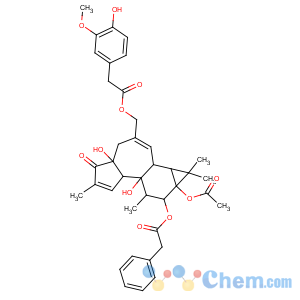 CAS No:175796-50-6 Benzeneacetic acid,4-hydroxy-3-methoxy-,[(1aR,1bS,4aR,7aS,7bS,8R,9R,9aS)-9a-(acetyloxy)-1a,1b,4,4a,5,7a,7b,8,9,9a-decahydro-4a,7b-dihydroxy-1,1,6,8-tetramethyl-5-oxo-9-[(phenylacetyl)oxy]-1H-cyclopropa[3,4]benz[1,2-e]azulen-3-yl]methylester