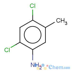 CAS No:17601-75-1 Benzenamine,2,4-dichloro-5-methyl-