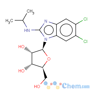 CAS No:176161-24-3 1H-Benzimidazol-2-amine,5,6-dichloro-N-(1-methylethyl)-1-b-L-ribofuranosyl-