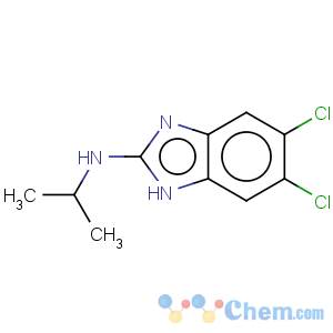 CAS No:176161-55-0 1H-Benzimidazol-2-amine,5,6-dichloro-N-(1-methylethyl)-
