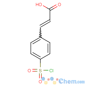 CAS No:17641-30-4 3-(4-chlorosulfonylphenyl)prop-2-enoic acid