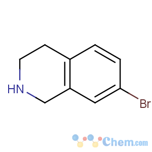 CAS No:17680-55-6 7-bromo-1,2,3,4-tetrahydroisoquinoline