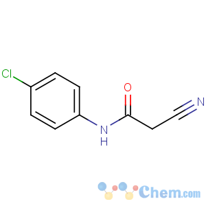 CAS No:17722-17-7 N-(4-chlorophenyl)-2-cyanoacetamide