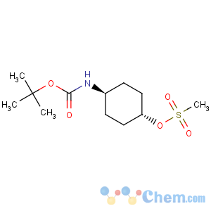CAS No:177545-89-0 Carbamic acid,N-[trans-4-[(methylsulfonyl)oxy]cyclohexyl]-, 1,1-dimethylethyl ester