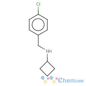 CAS No:177721-97-0 Benzenemethanamine,4-chloro-N-cyclobutyl-