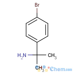 CAS No:17797-12-5 2-(4-bromophenyl)propan-2-amine