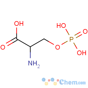 CAS No:17885-08-4 2-amino-3-phosphonooxypropanoic acid