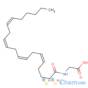 CAS No:179113-91-8 Glycine,N-[(5Z,8Z,11Z,14Z)-1-oxo-5,8,11,14-eicosatetraen-1-yl]-
