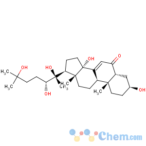 CAS No:17942-08-4 Cholest-7-en-6-one,3,14,20,22,25-pentahydroxy-, (3b,5b,22R)-