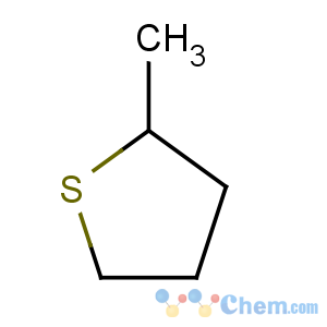 CAS No:1795-09-1 2-methylthiolane