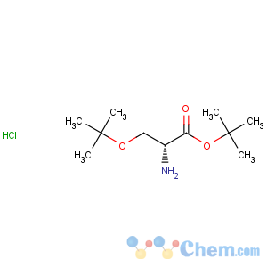 CAS No:179559-35-4 H-D-SER(TBU)-OTBU HCL