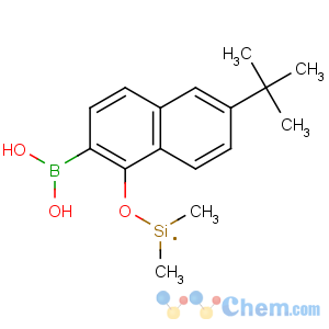CAS No:179942-45-1 (2-borono-6-tert-butylnaphthalen-1-yl)oxy-dimethylsilicon