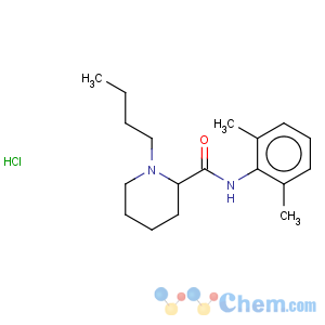 CAS No:18010-40-7 2-Piperidinecarboxamide,1-butyl-N-(2,6-dimethylphenyl)-, hydrochloride (1:1)
