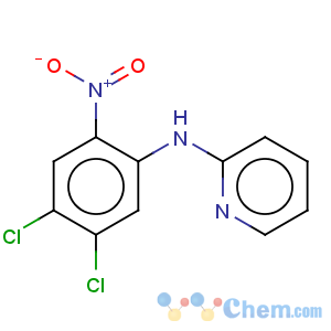 CAS No:18018-23-0 N2-(4,5-Dichloro-2-nitrophenyl)pyridin-2-amine