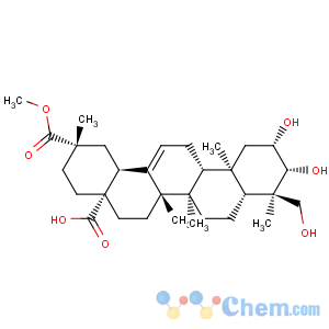 CAS No:1802-12-6 Olean-12-ene-28,29-dioicacid, 2,3,23-trihydroxy-, 29-methyl ester, (2b,3b,4a,20b)-
