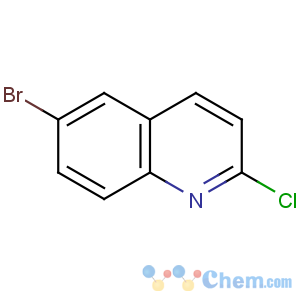 CAS No:1810-71-5 6-bromo-2-chloroquinoline