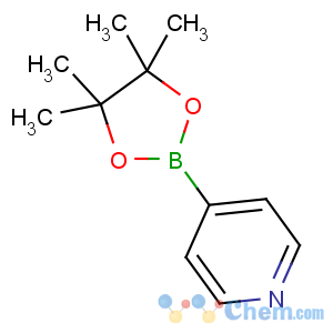 CAS No:181219-01-2 4-(4,4,5,5-tetramethyl-1,3,2-dioxaborolan-2-yl)pyridine