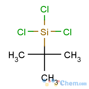 CAS No:18171-74-9 tert-butyl(trichloro)silane