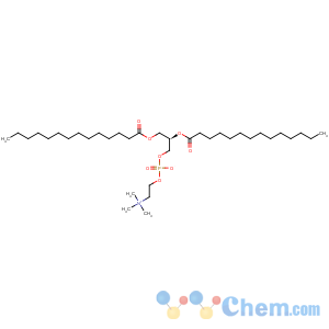 CAS No:18194-24-6 Dimyristoyl phosphatidylcholine