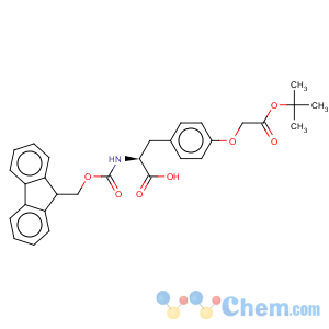 CAS No:181951-92-8 L-Tyrosine,O-[2-(1,1-dimethylethoxy)-2-oxoethyl]-N-[(9H-fluoren-9-ylmethoxy)carbonyl]-