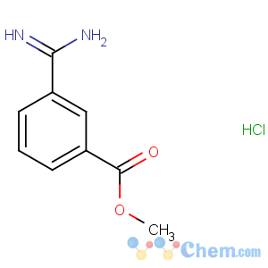 CAS No:18219-39-1 methyl 3-carbamimidoylbenzoate