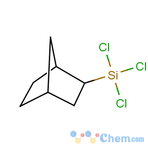 CAS No:18245-29-9 3-bicyclo[2.2.1]heptanyl(trichloro)silane