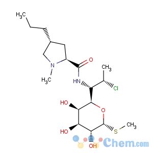 CAS No:18323-44-9 Clindamycin