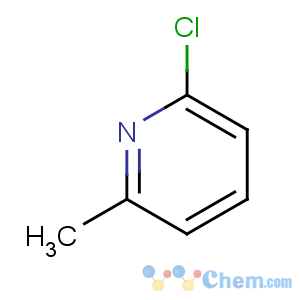 CAS No:18368-63-3 2-chloro-6-methylpyridine