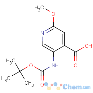 CAS No:183741-86-8 2-methoxy-5-[(2-methylpropan-2-yl)oxycarbonylamino]pyridine-4-carboxylic<br />acid
