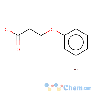 CAS No:18386-03-3 Propanoic acid,3-(3-bromophenoxy)-