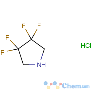 CAS No:1841-00-5 3,3,4,4-tetrafluoropyrrolidine