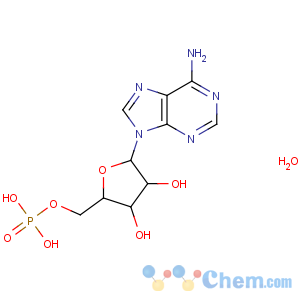 CAS No:18422-05-4 Adenosine 5'-monophosphate monohydrate
