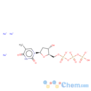 CAS No:18423-43-3 Deoxythymidine triphosphate
