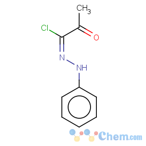 CAS No:18440-58-9 Propanehydrazonoylchloride, 2-oxo-N-phenyl-