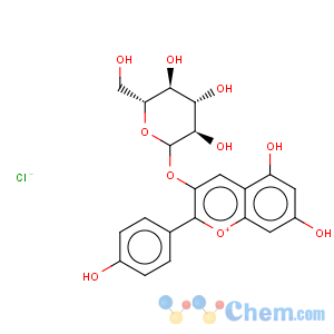 CAS No:18466-51-8 1-Benzopyrylium, 3-(b-D-glucopyranosyloxy)-5,7-dihydroxy-2-(4-hydroxyphenyl)-,chloride (1:1)