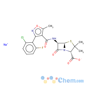 CAS No:1847-24-1 Flucloxacillin sodium