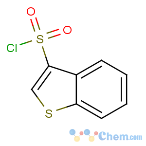 CAS No:18494-87-6 1-benzothiophene-3-sulfonyl chloride