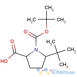 CAS No:185142-15-8 5-tert-butyl-1-[(2-methylpropan-2-yl)oxycarbonyl]pyrrolidine-2-<br />carboxylic acid